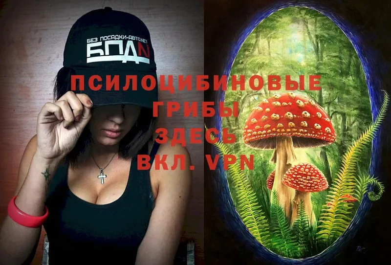 Галлюциногенные грибы Magic Shrooms  Лагань 